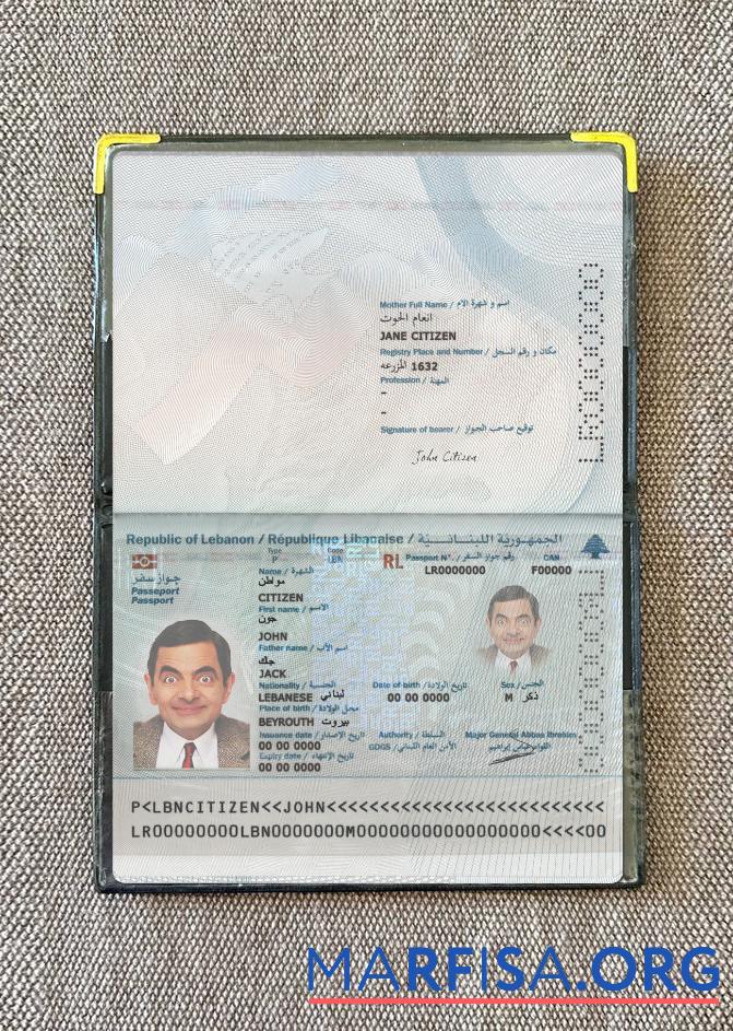 Downloadable Lebanon passport 2022 present photolook example